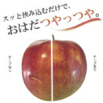 KIKUSUI-RN-MAMORU-TAPE