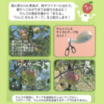 KIKUSUI-RN-MAMORU-TAPE