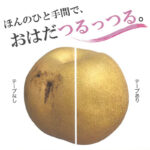 KIKUSUI-RN-MAMORU-TAPE