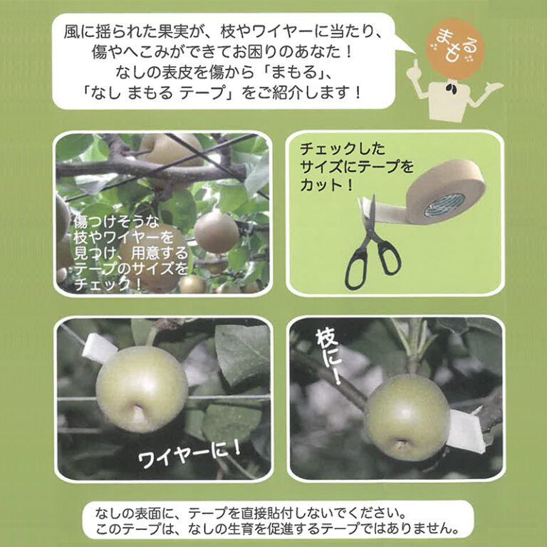 KIKUSUI-RN-MAMORU-TAPE